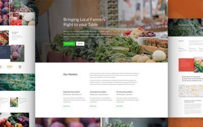 Mejores Temas WordPress para Alimentos Ecológicos y Comida Orgánica